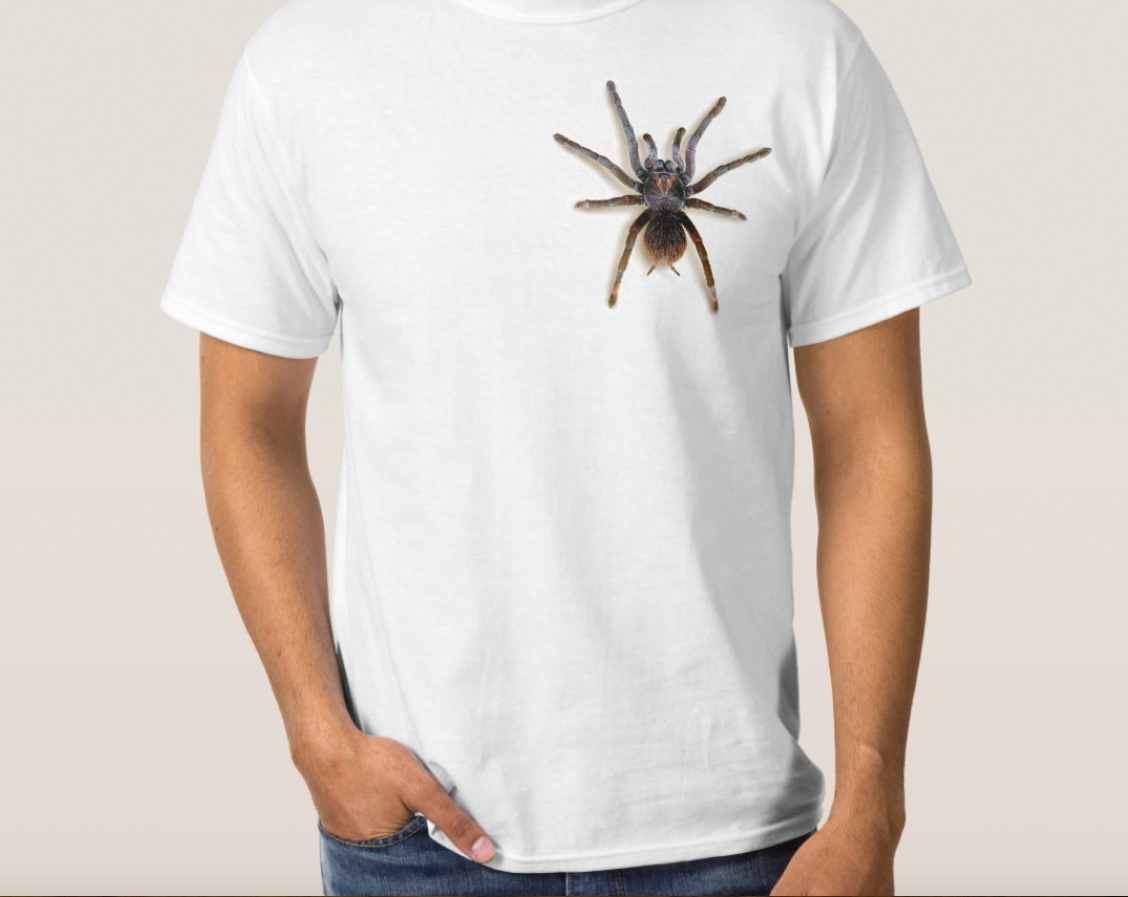 Small Tarantulas